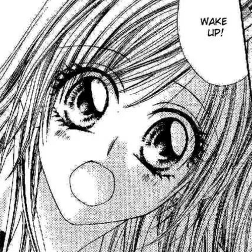 Honey X Honey Drops Chapter 24 cover