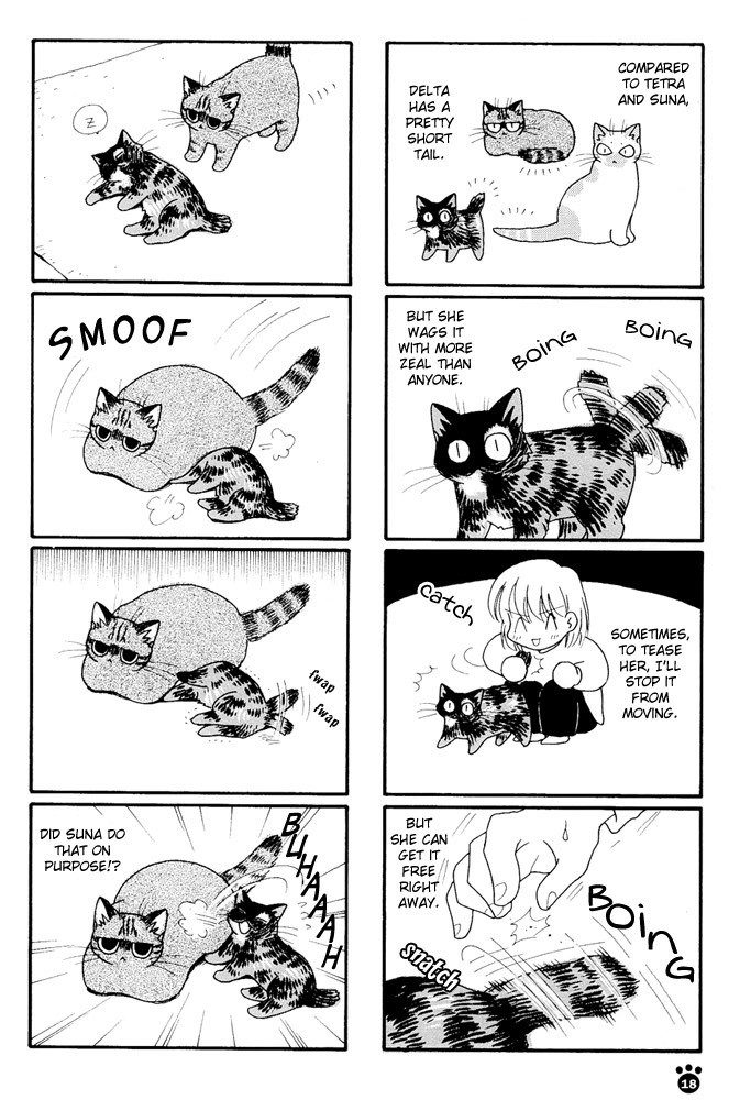 Honjitsu no Neko Chapter 3 page 5 - Chapter 3: Deruderu Loves The Toilet
