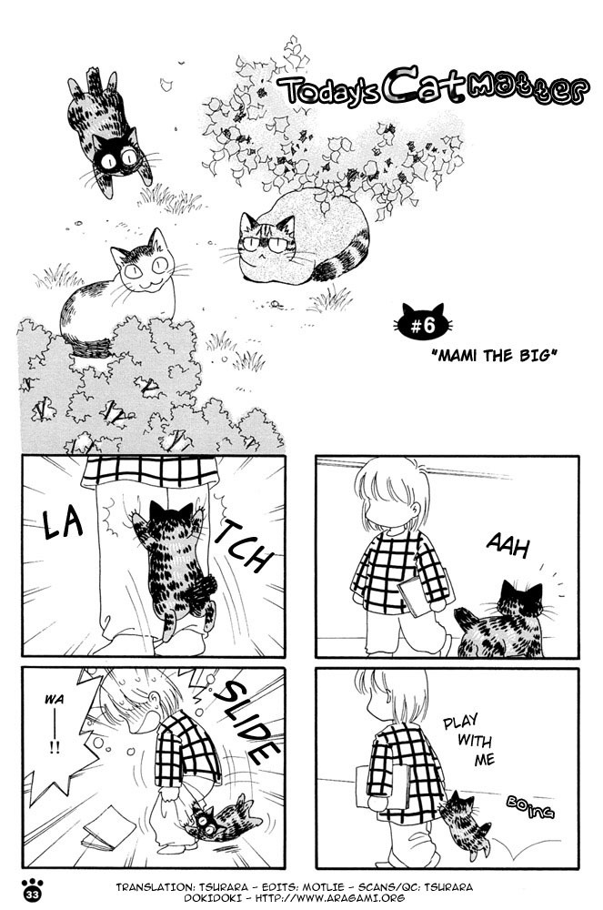 Honjitsu no Neko Chapter 6 page 2 - Chapter 6: Mami The Big