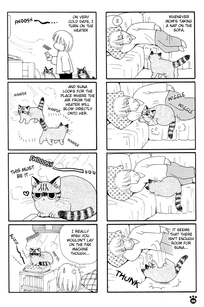 Honjitsu no Neko Chapter 6 page 5 - Chapter 6: Mami The Big