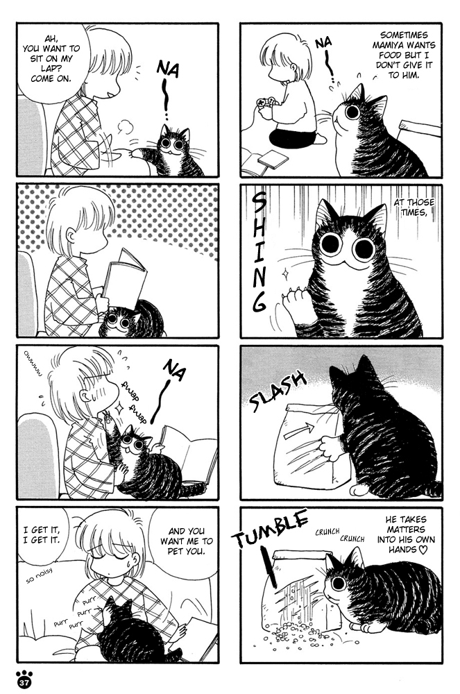 Honjitsu no Neko Chapter 6 page 6 - Chapter 6: Mami The Big