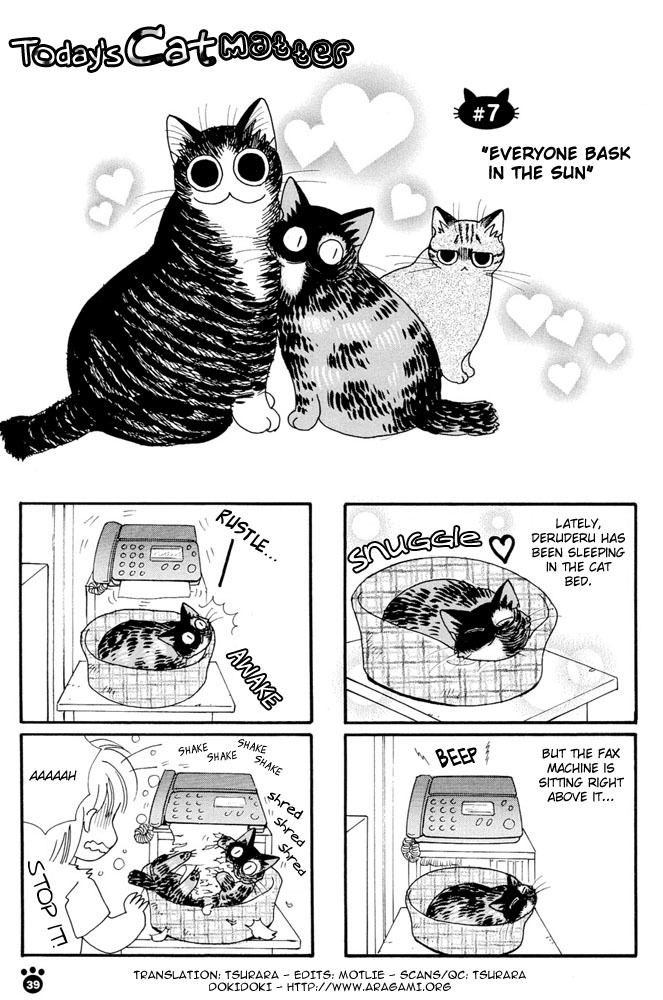 Honjitsu no Neko Chapter 7 page 2 - Chapter 7: Everyone Bask In The Sun