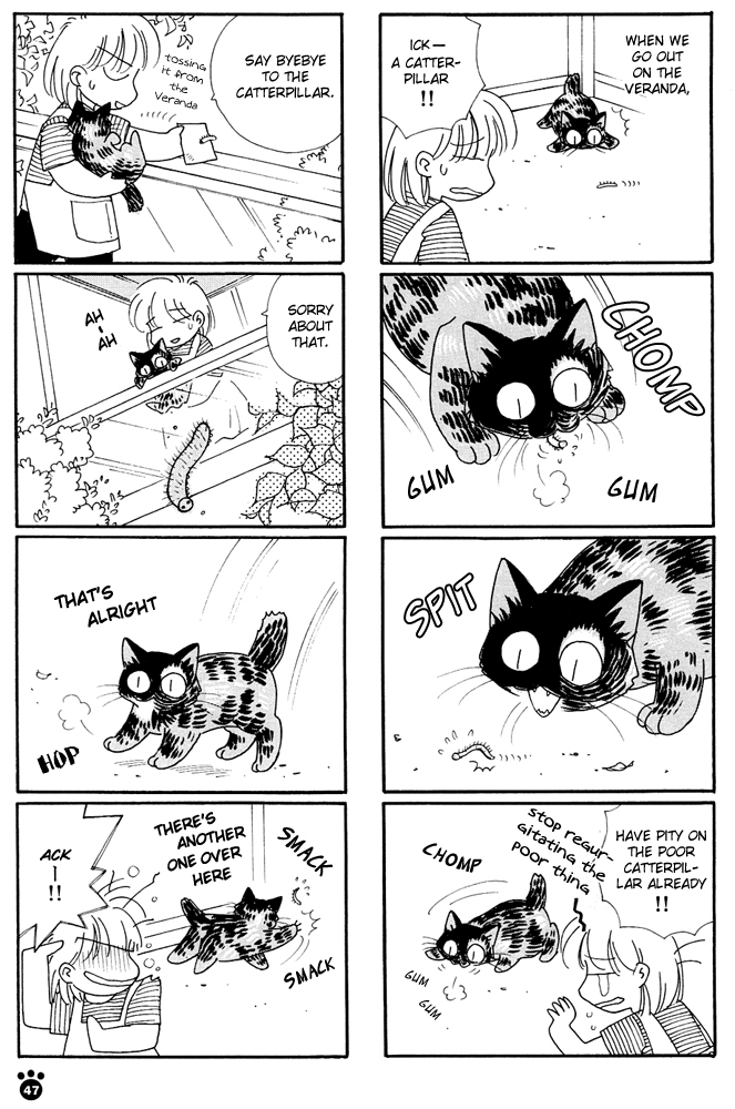 Honjitsu no Neko Chapter 8 page 4 - Chapter 8: I Wanna Get In The Ba~ag?