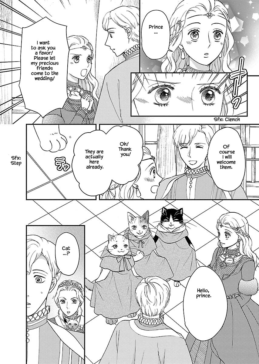 Honto wa Neko datta grimu douwa Chapter 7 page 19 - Chapter 7 [END]