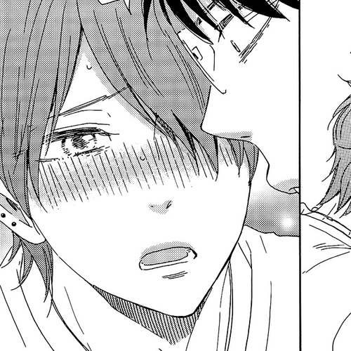 Honto Yajuu Chapter 29 cover