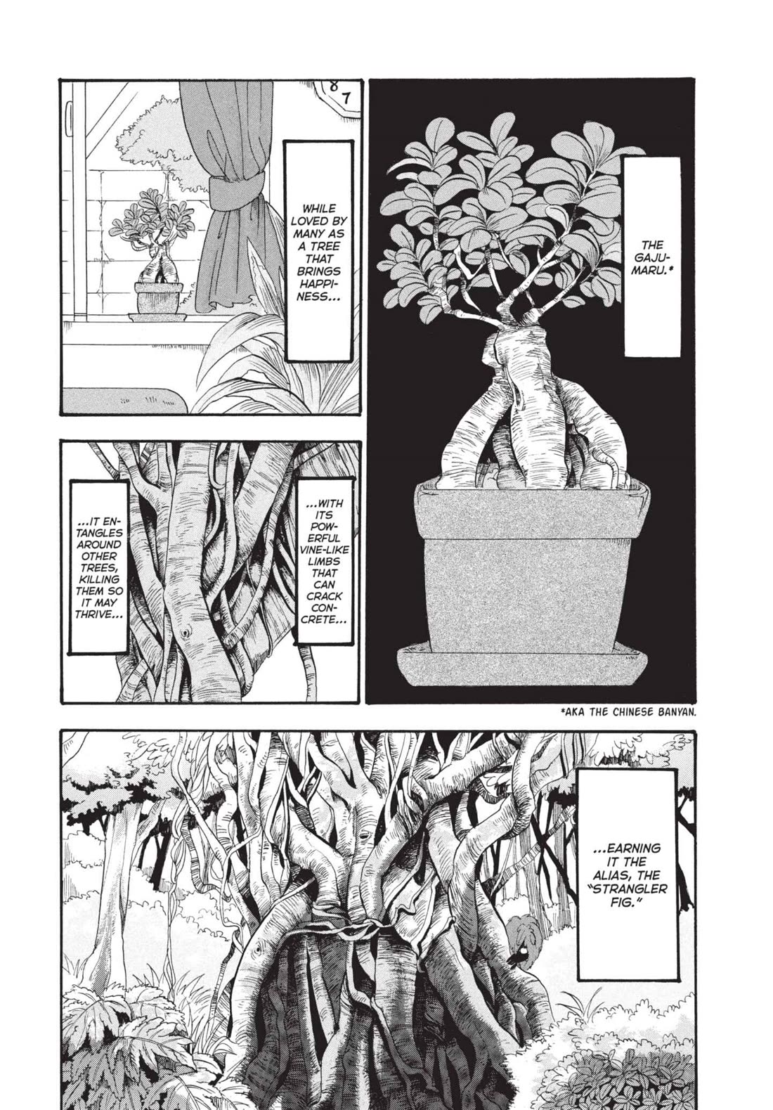 Hoozuki no Reitetsu Chapter 182 page 3 - Chapter 182: SACRED TREE