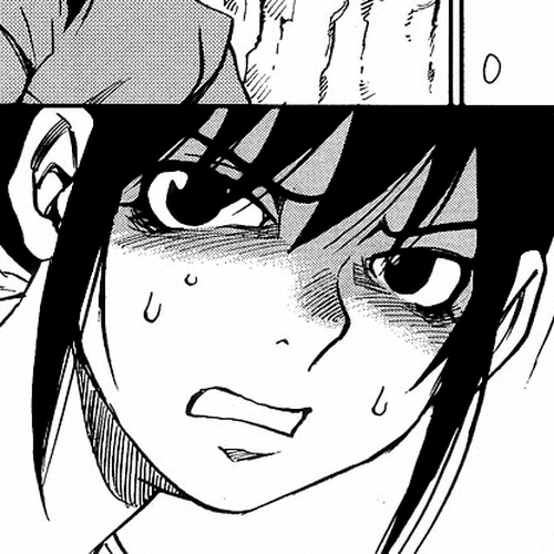 Hoozuki no Shima Chapter 20: The adults always say cover