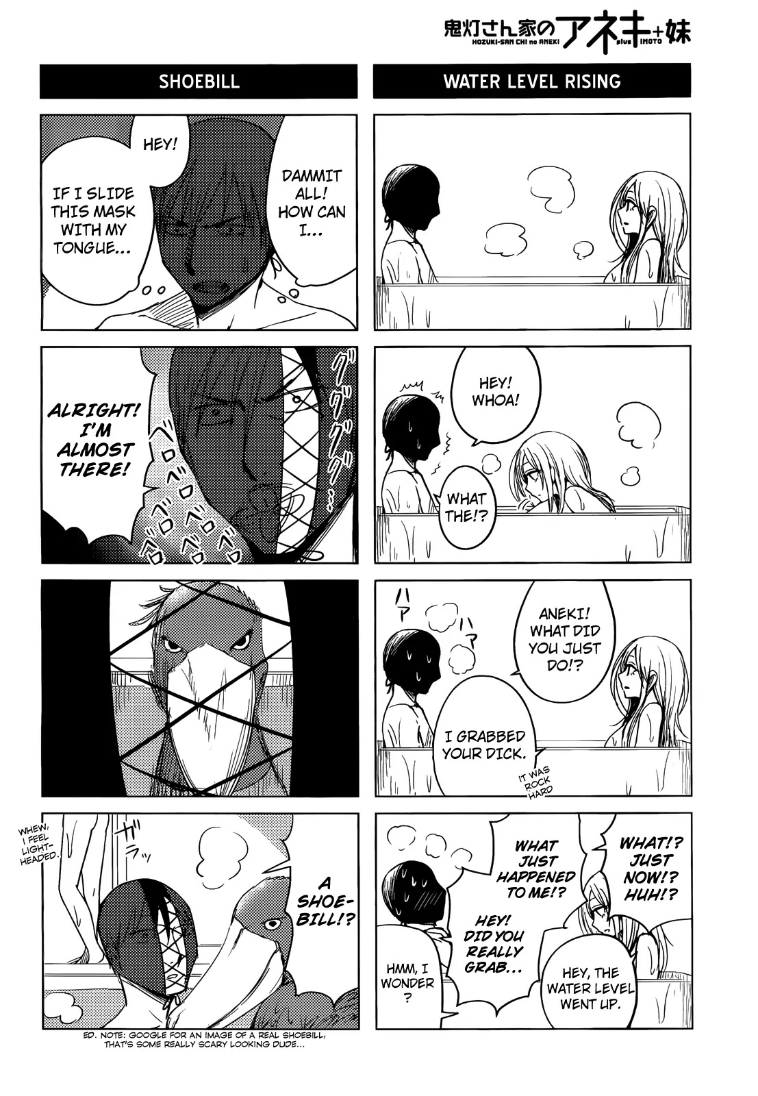 Hoozuki-san Chi no Aneki + Imouto Chapter 1 page 15 - Chapter 1