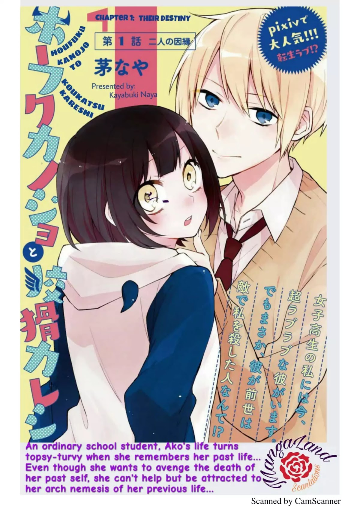 Houfuku Kanojo to Koukatsu Kareshi Chapter 1 page 3 - Chapter 1: Their Destiny