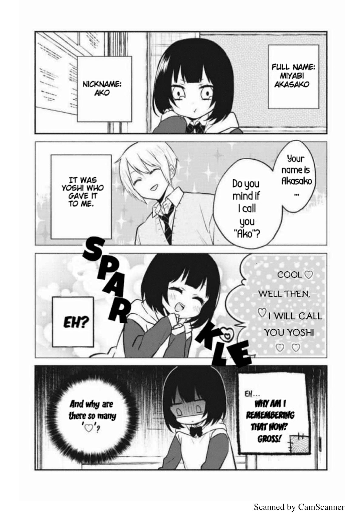 Houfuku Kanojo to Koukatsu Kareshi Chapter 2 page 3 - Chapter 2: Me & My Former Self