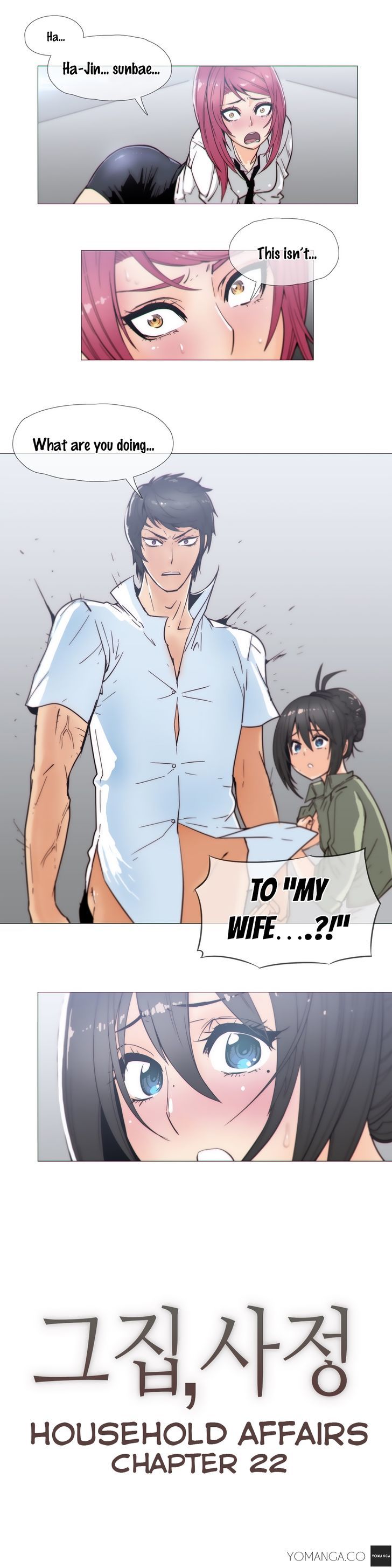 Household Affairs Chapter 22 page 2 - Chapter 22