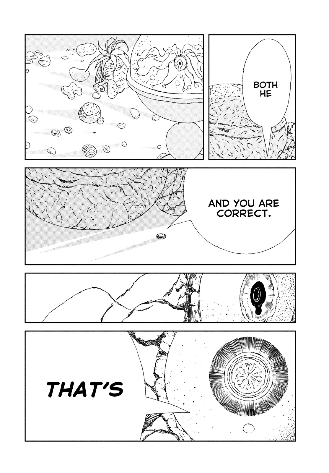 Houseki no Kuni Chapter 106 page 17 - Chapter 106: Bridge