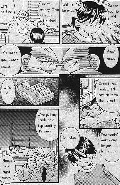 How I Became a Pokemon Card Chapter 17 page 13 - Chapter 17: The Injured Persian