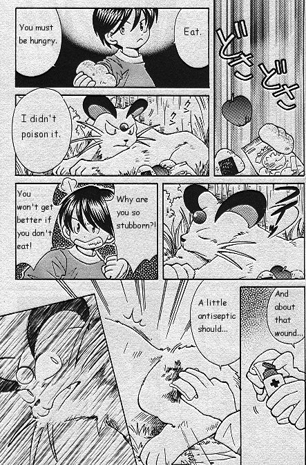How I Became a Pokemon Card Chapter 17 page 7 - Chapter 17: The Injured Persian