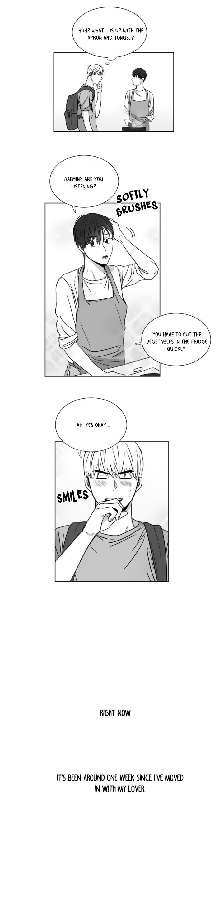 How Much I Like You Chapter 1 page 4 - Chapter 1