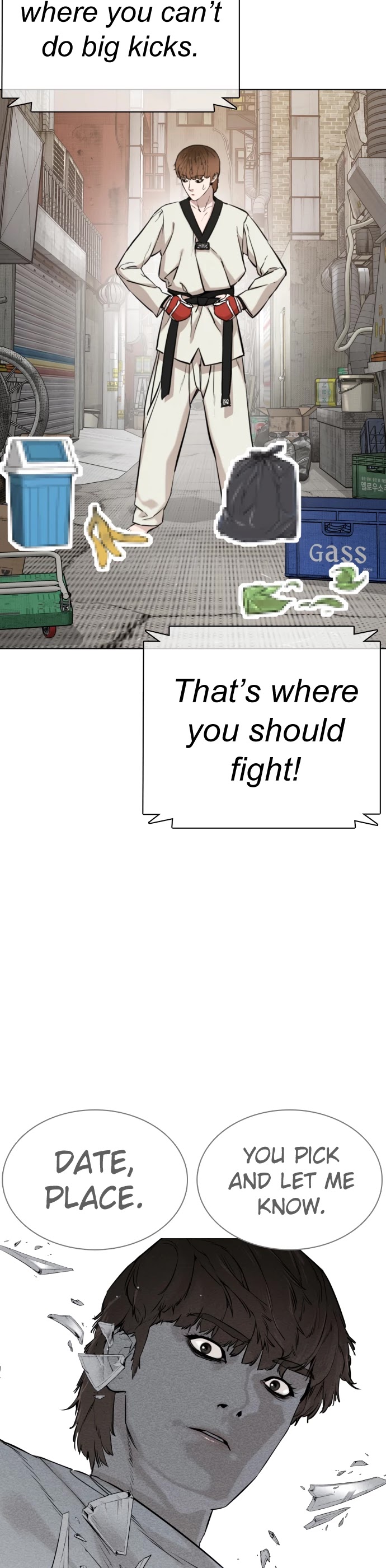 How to Fight Chapter 16 page 12 - Chapter 16: How to fight and win against Taekwondo