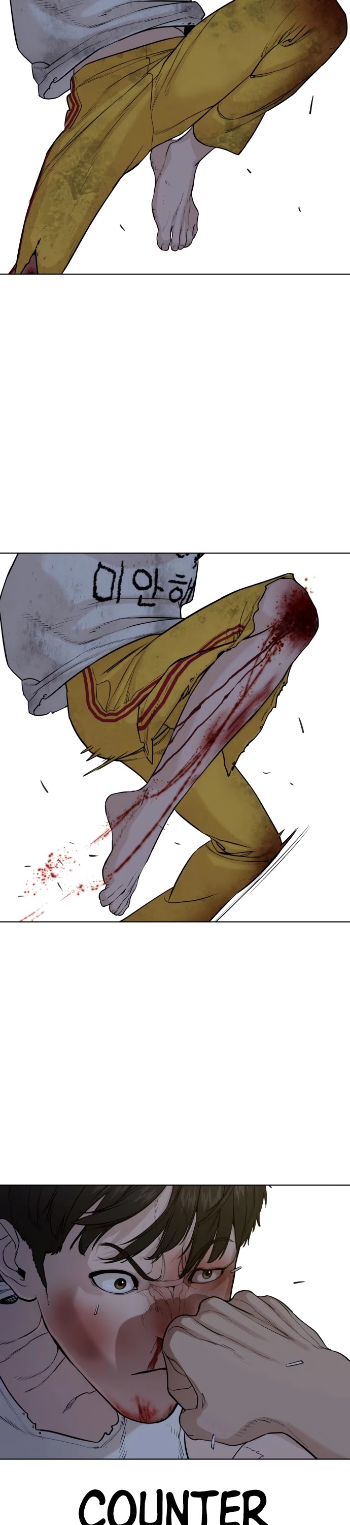 How to Fight Chapter 44 page 56 - Chapter 44: … Is it Over?