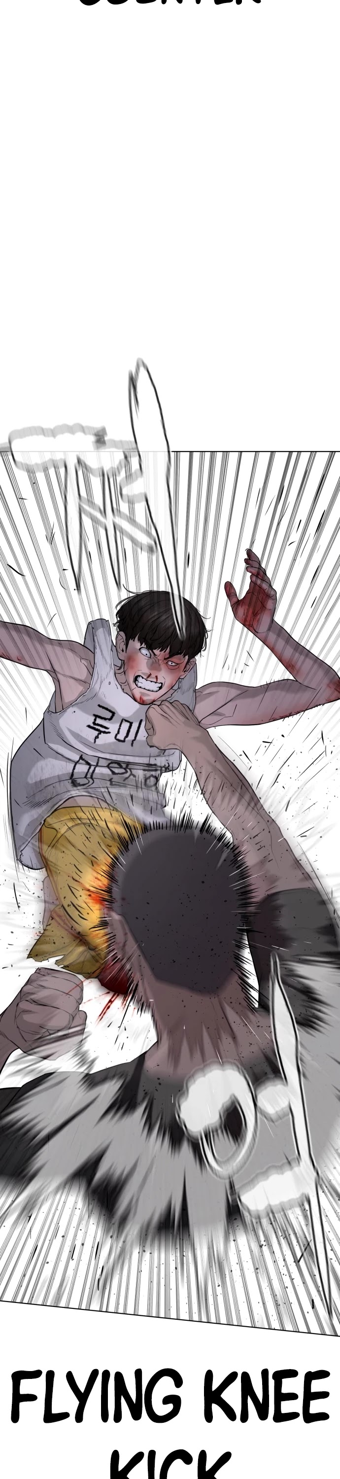 How to Fight Chapter 44 page 57 - Chapter 44: … Is it Over?