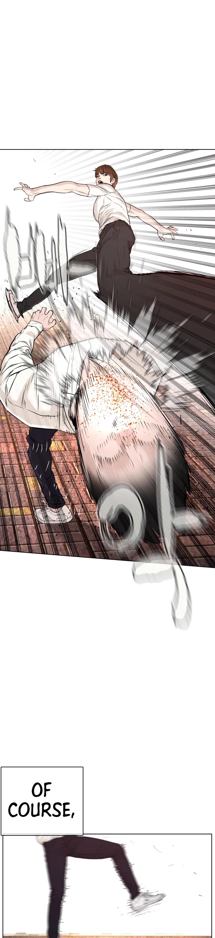 How to Fight Chapter 62 page 18 - Chapter 62: Real World Martial Arts