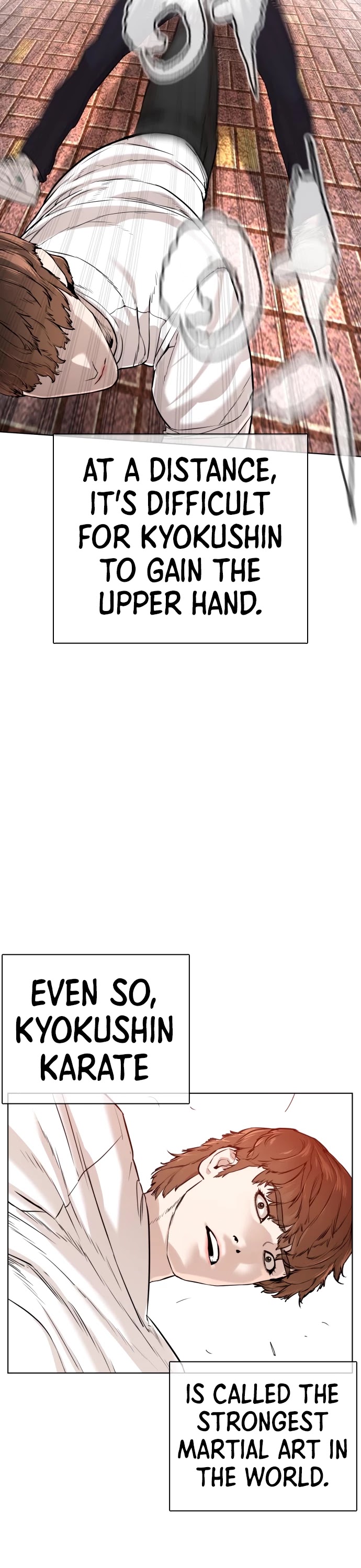 How to Fight Chapter 62 page 21 - Chapter 62: Real World Martial Arts