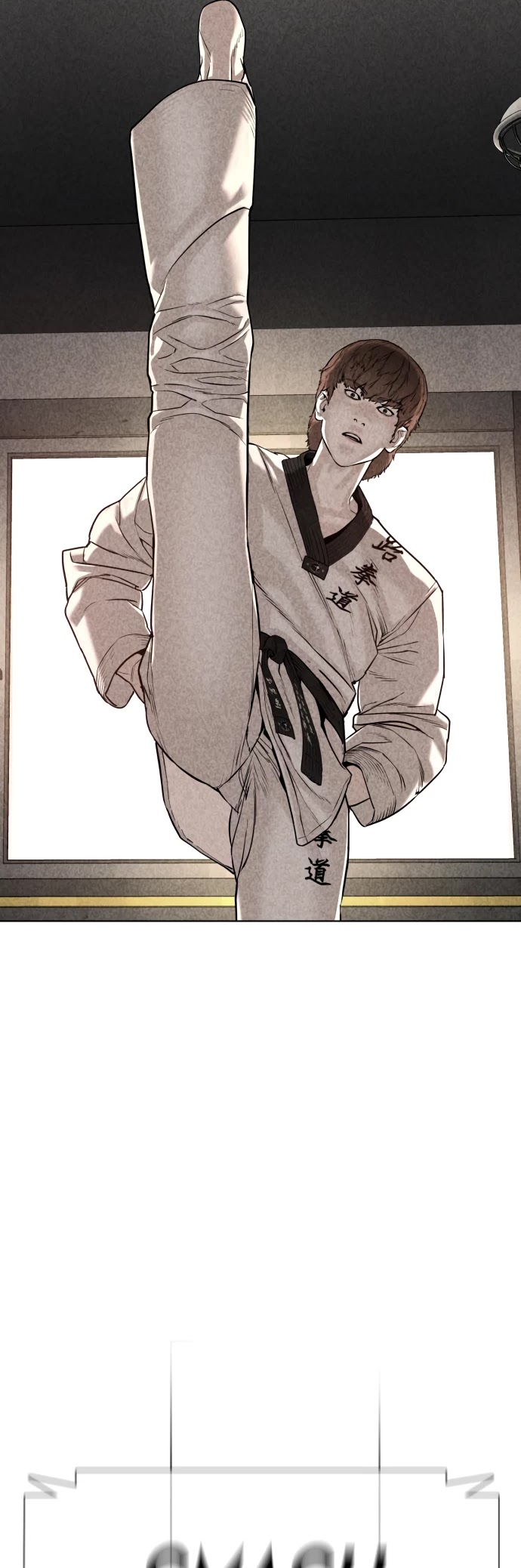 How to Fight Chapter 72 page 23 - Chapter 72: How to fight and win against jiu jitsu