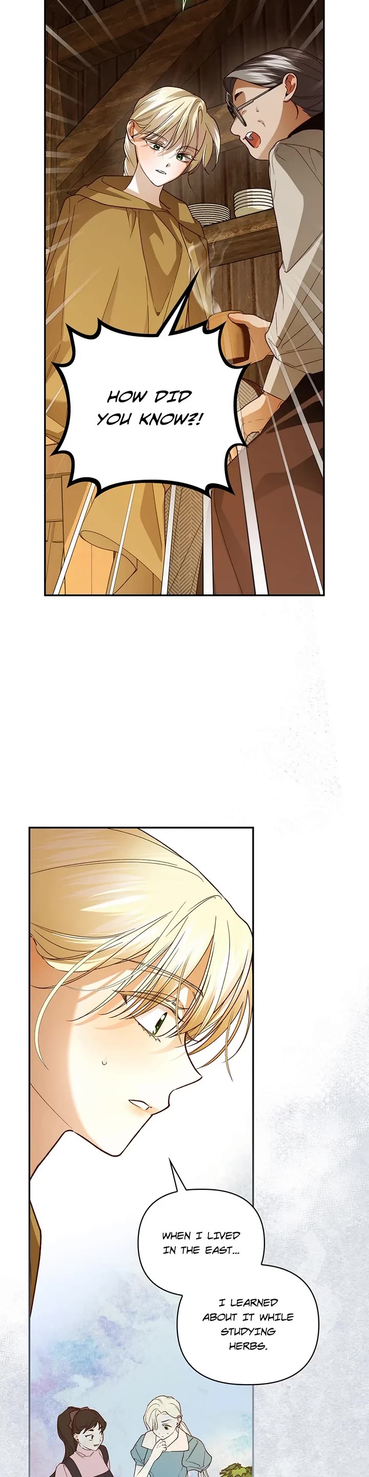 How to Hide the Emperor's Child Chapter 107 page 25 - Chapter 107