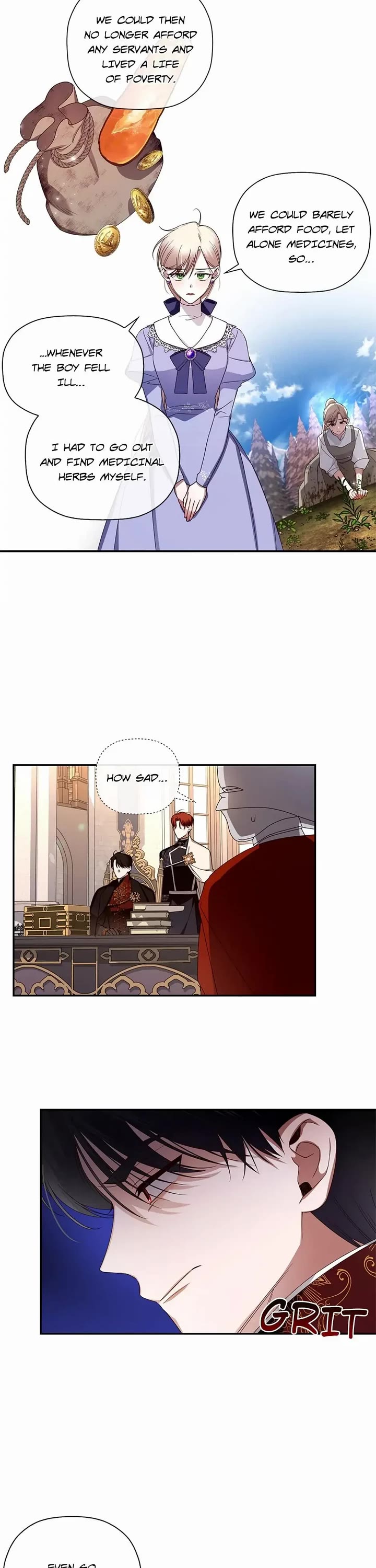 How to Hide the Emperor's Child Chapter 12 page 12 - Chapter 12