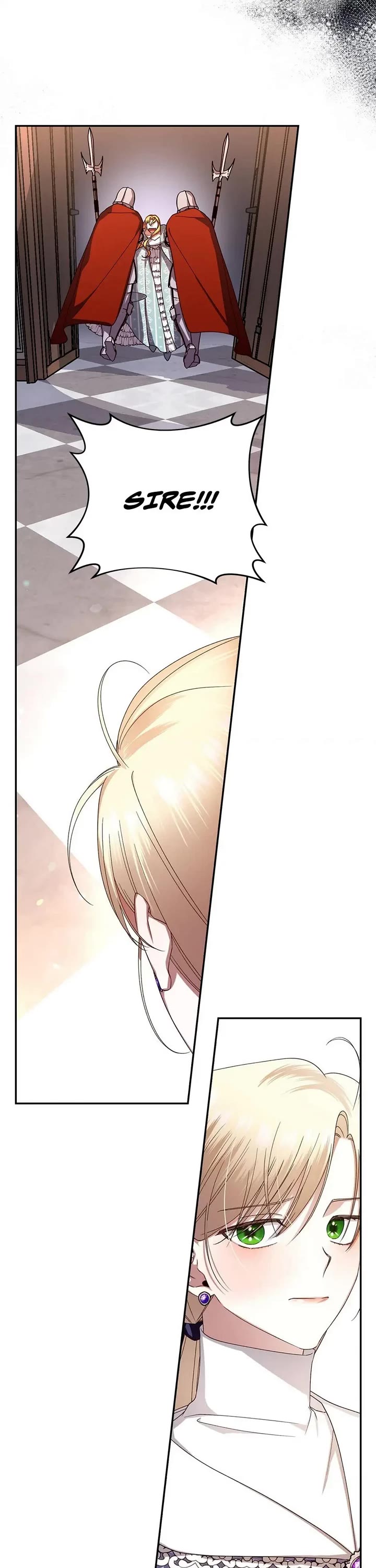 How to Hide the Emperor's Child Chapter 12 page 21 - Chapter 12