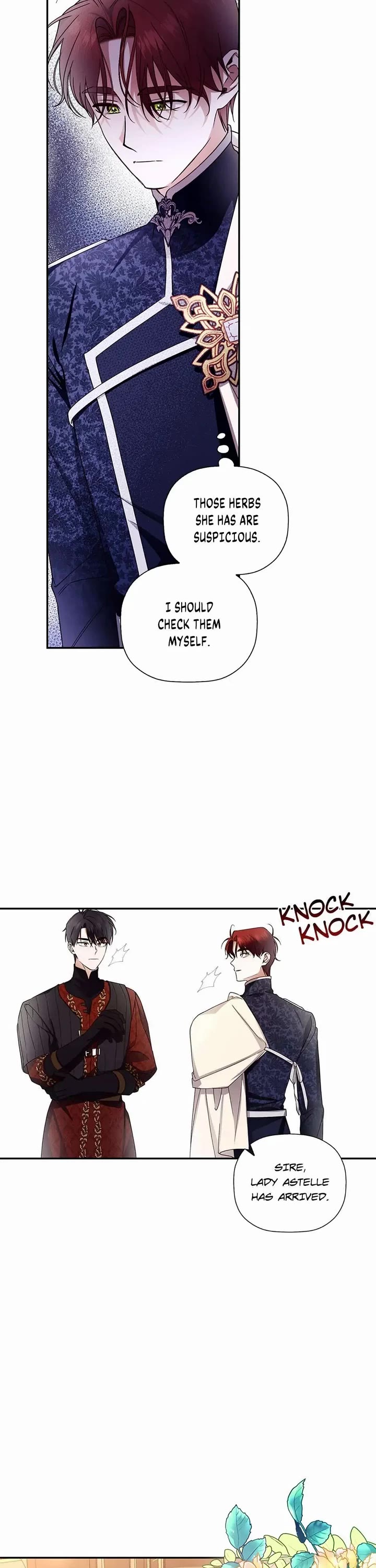 How to Hide the Emperor's Child Chapter 17 page 17 - Chapter 17