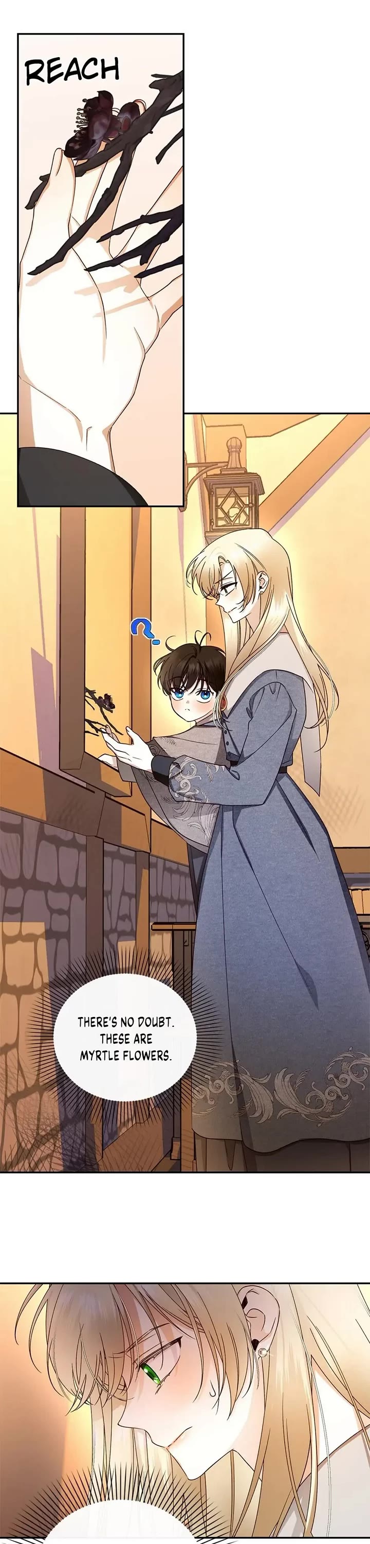 How to Hide the Emperor's Child Chapter 19 page 2 - Chapter 19