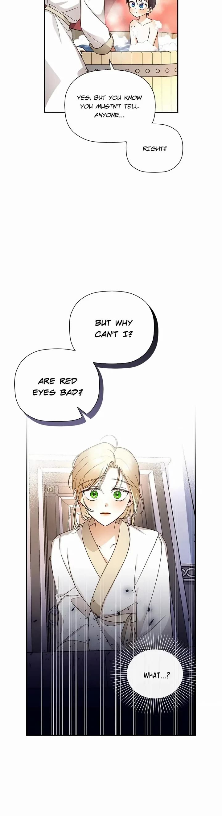 How to Hide the Emperor's Child Chapter 19 page 29 - Chapter 19