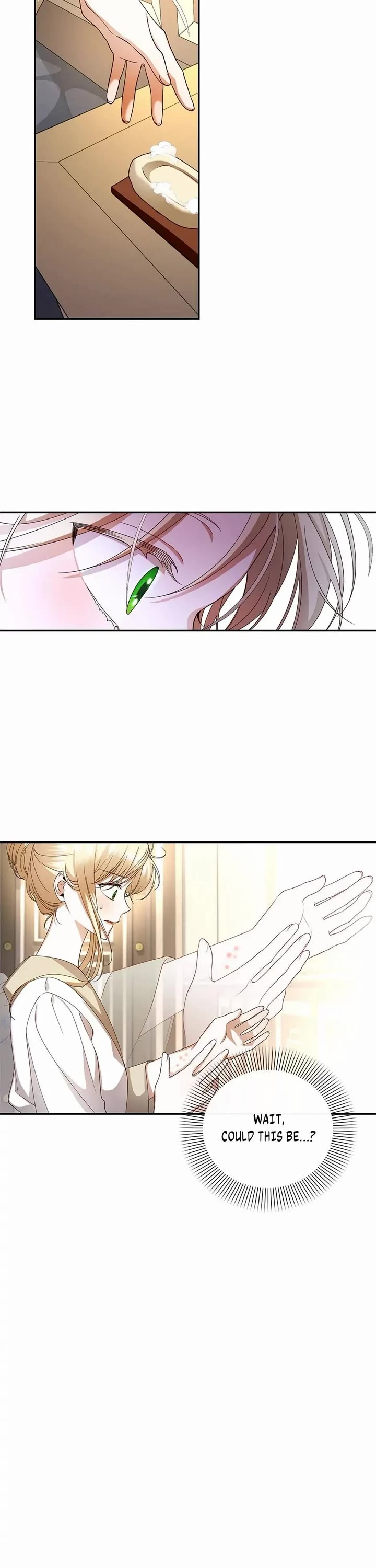 How to Hide the Emperor's Child Chapter 20 page 12 - Chapter 20