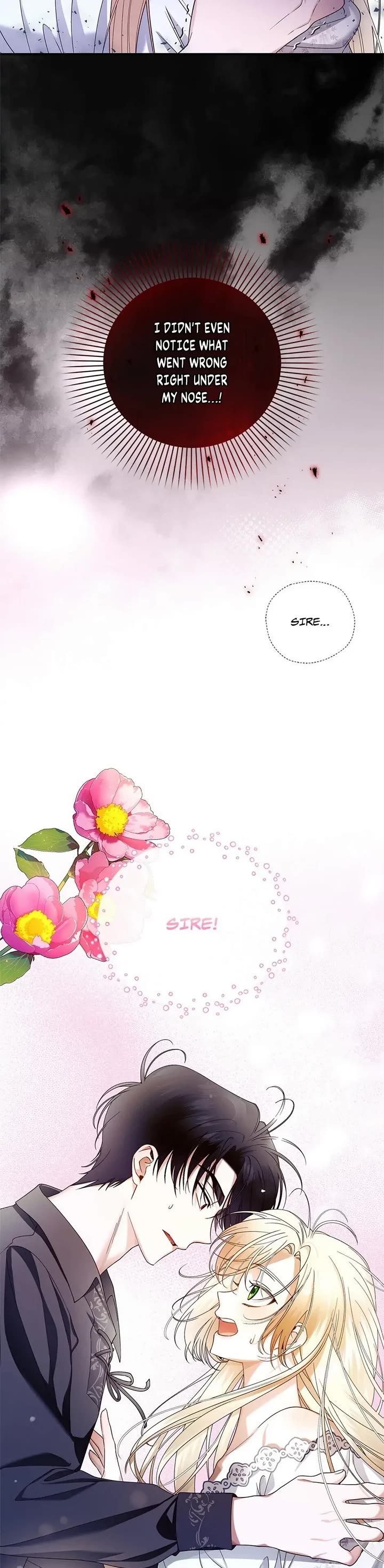 How to Hide the Emperor's Child Chapter 20 page 29 - Chapter 20