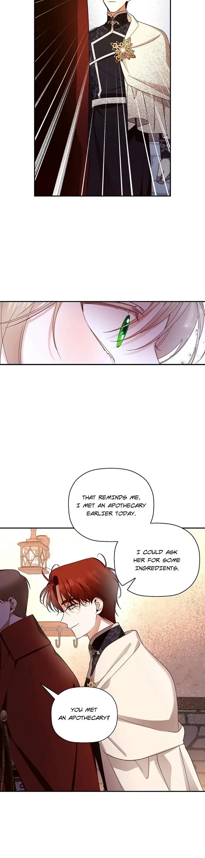 How to Hide the Emperor's Child Chapter 21 page 12 - Chapter 21