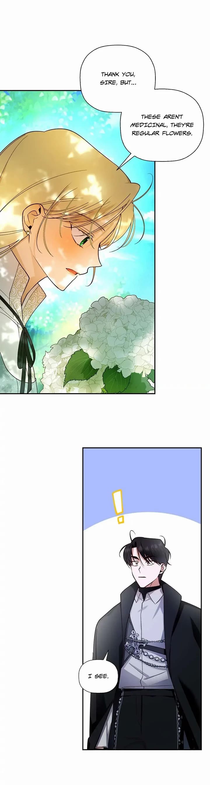 How to Hide the Emperor's Child Chapter 22 page 5 - Chapter 22