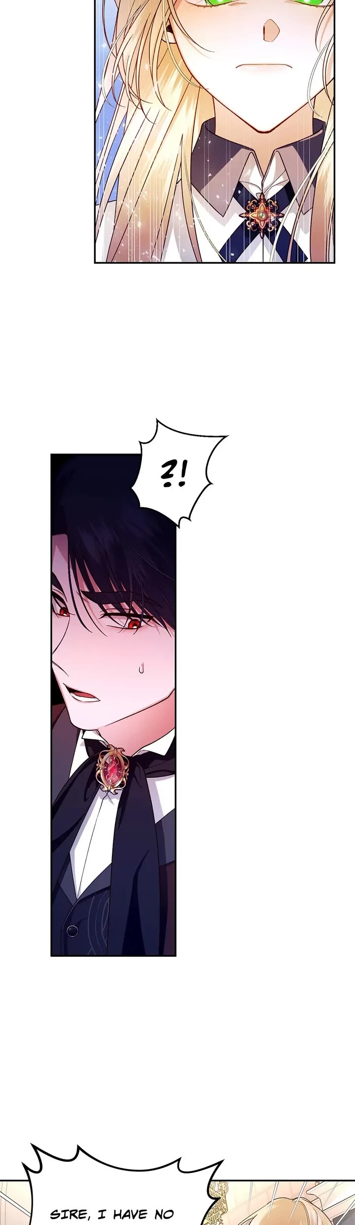 How to Hide the Emperor's Child Chapter 27 page 9 - Chapter 27