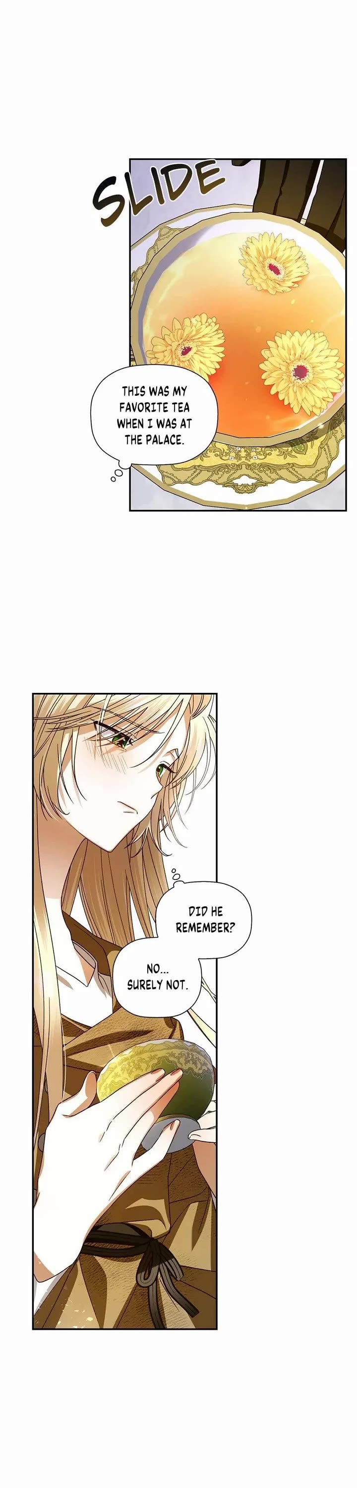 How to Hide the Emperor's Child Chapter 3 page 18 - Chapter 3