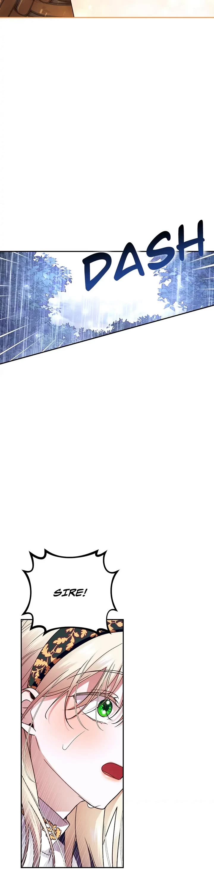 How to Hide the Emperor's Child Chapter 40 page 17 - Chapter 40