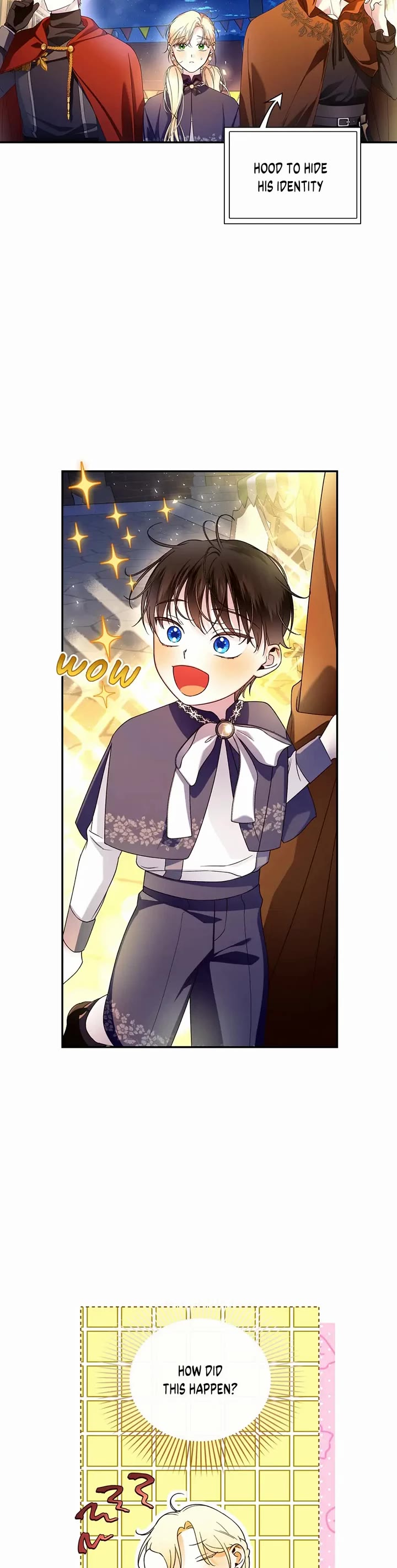 How to Hide the Emperor's Child Chapter 48 page 10 - Chapter 48