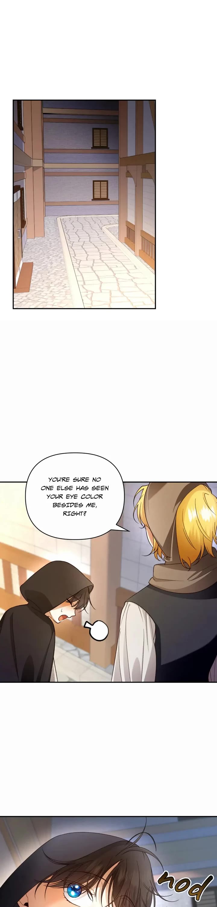How to Hide the Emperor's Child Chapter 61 page 13 - Chapter 61