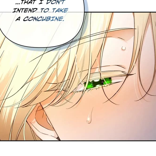 How to Hide the Emperor's Child Chapter 77 cover