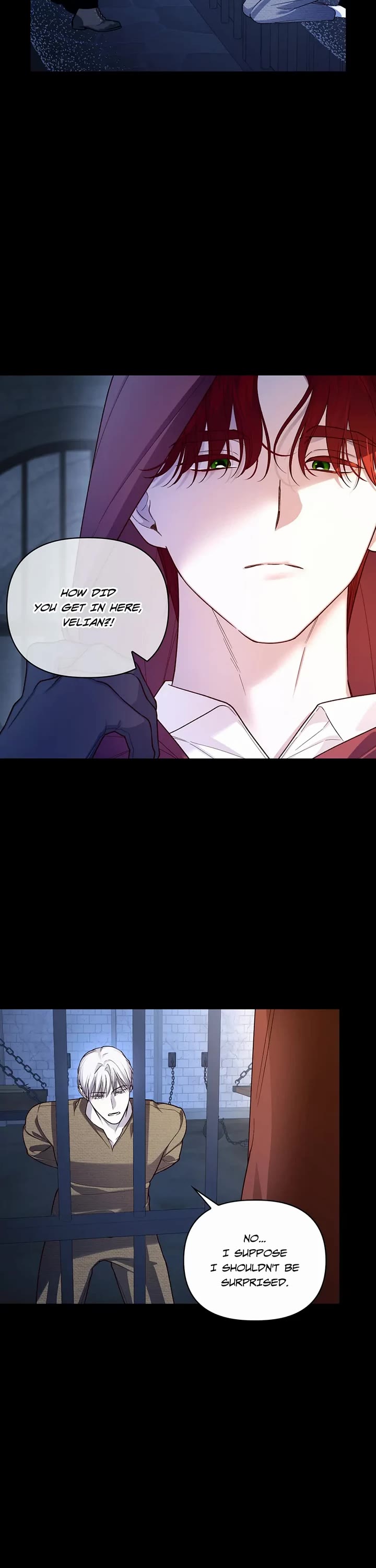 How to Hide the Emperor's Child Chapter 93 page 13 - Chapter 93
