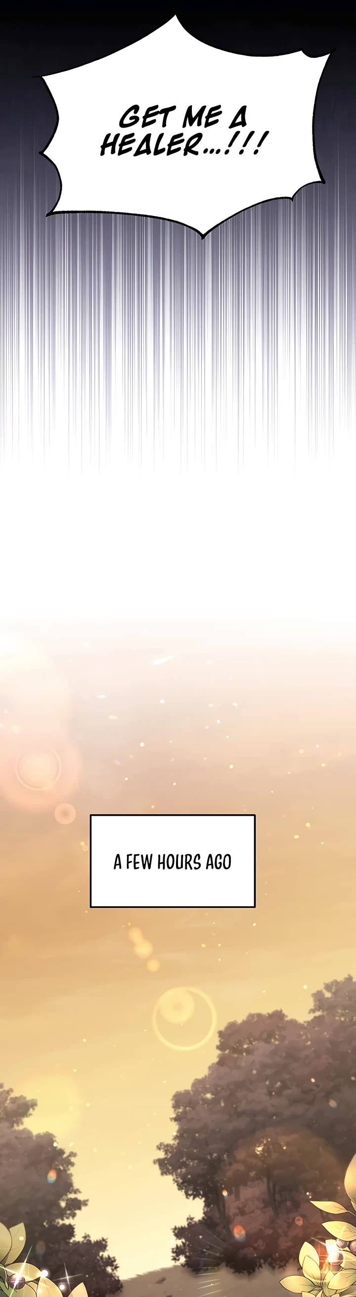 How To Live As An Unlicensed Healer Chapter 1 page 5 - Chapter 1