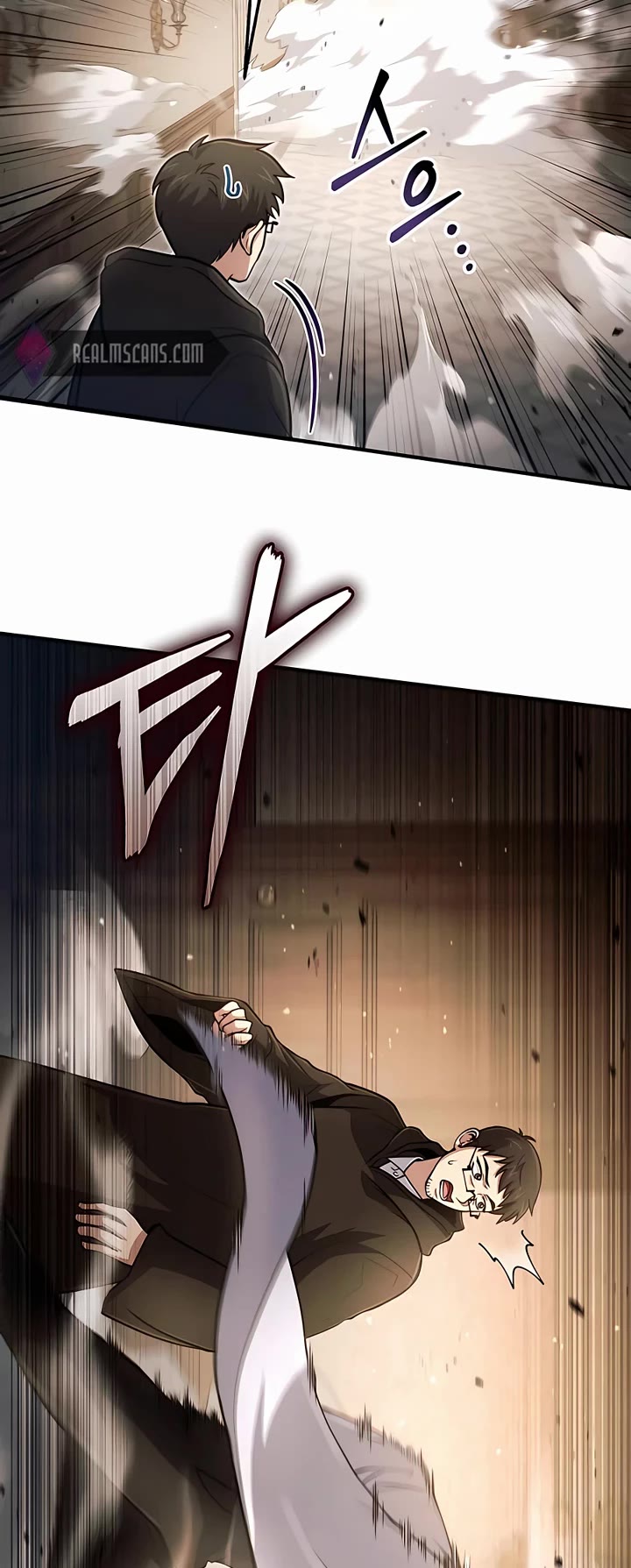 How To Live As An Unlicensed Healer Chapter 27 page 2 - Chapter 27