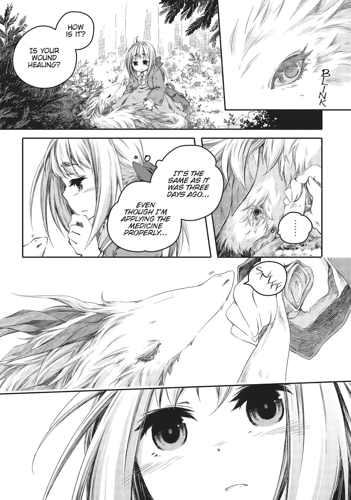 How to Treat Magical Beasts: Mine and Master's Medical Journal Chapter 1 page 14 - Chapter 1: Vol.1 Case 1: Lindworm