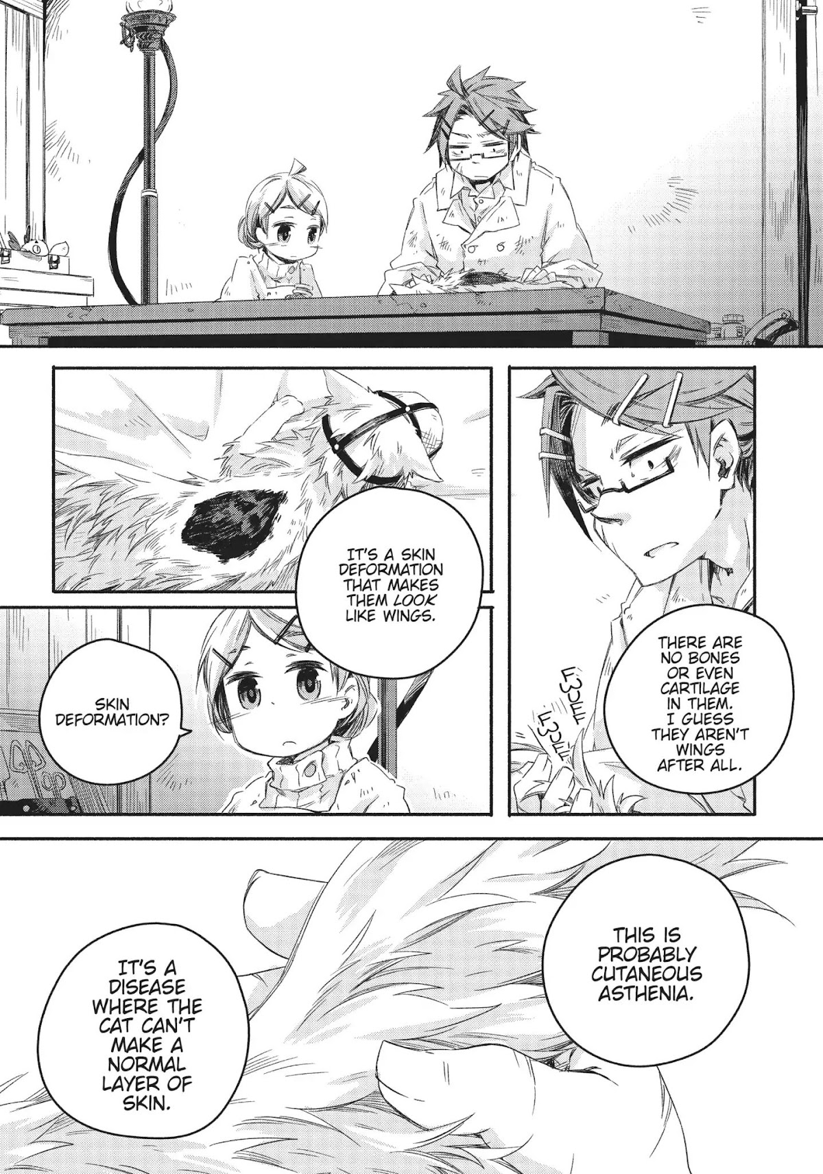 How to Treat Magical Beasts: Mine and Master's Medical Journal Chapter 15 page 12 - Chapter 15: Vol.3 Case 15: Winged Cat