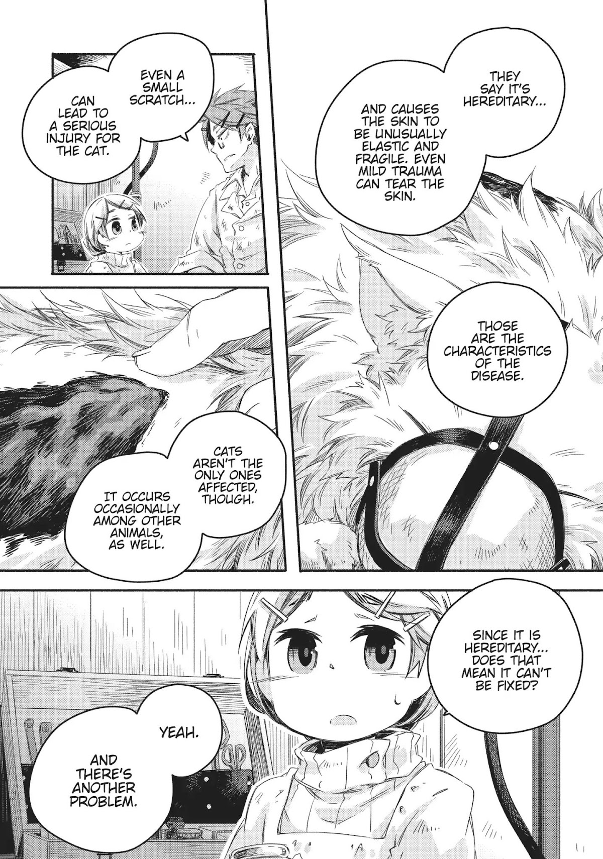 How to Treat Magical Beasts: Mine and Master's Medical Journal Chapter 15 page 13 - Chapter 15: Vol.3 Case 15: Winged Cat