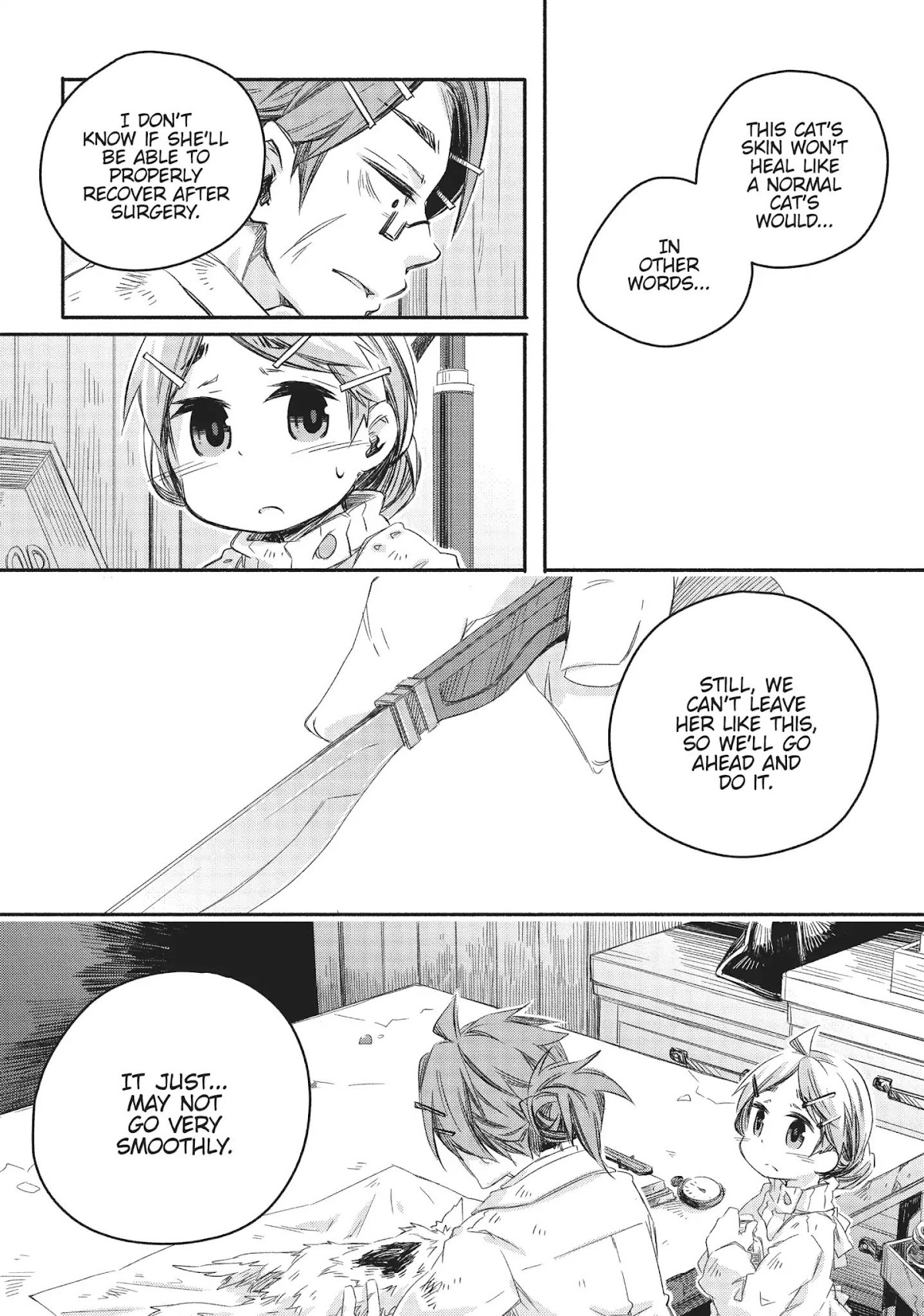 How to Treat Magical Beasts: Mine and Master's Medical Journal Chapter 15 page 14 - Chapter 15: Vol.3 Case 15: Winged Cat