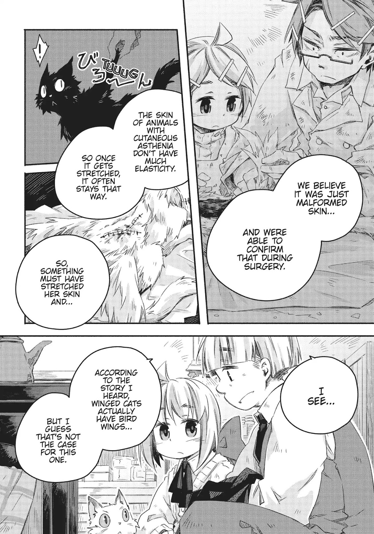 How to Treat Magical Beasts: Mine and Master's Medical Journal Chapter 15 page 18 - Chapter 15: Vol.3 Case 15: Winged Cat