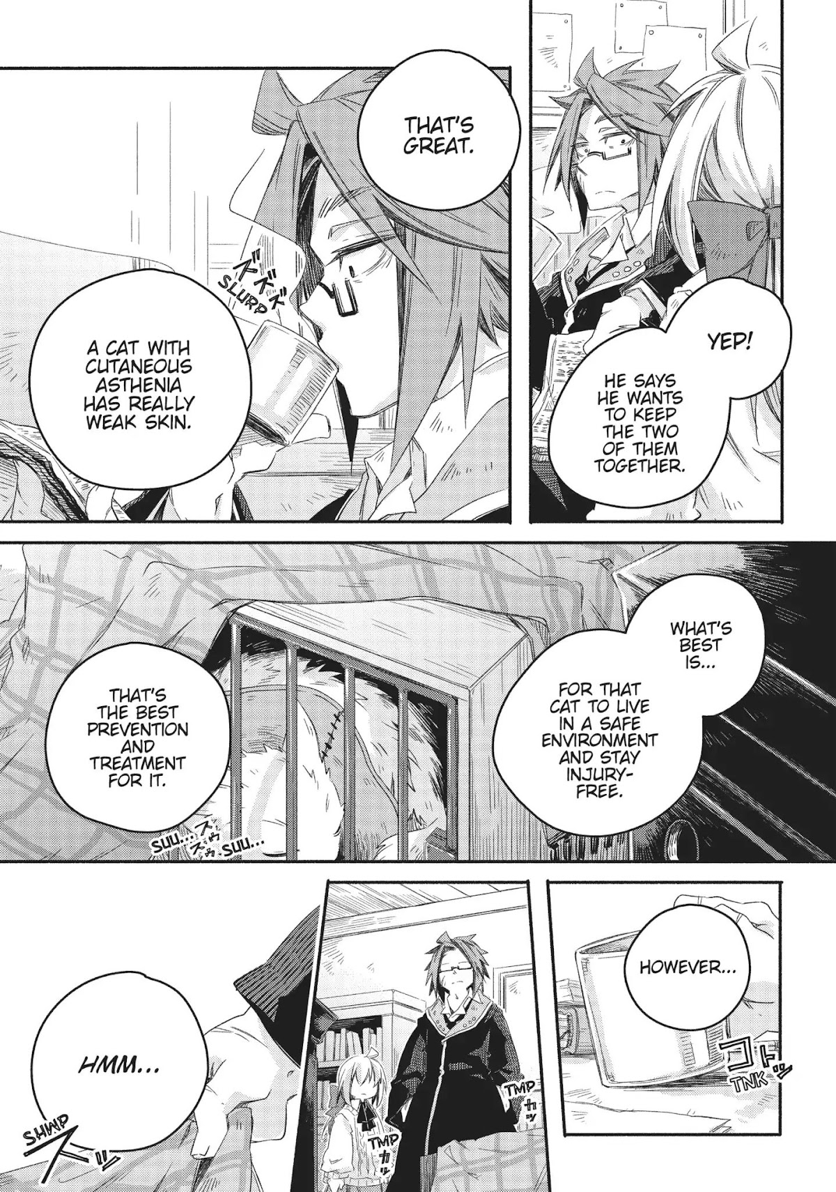 How to Treat Magical Beasts: Mine and Master's Medical Journal Chapter 15 page 21 - Chapter 15: Vol.3 Case 15: Winged Cat